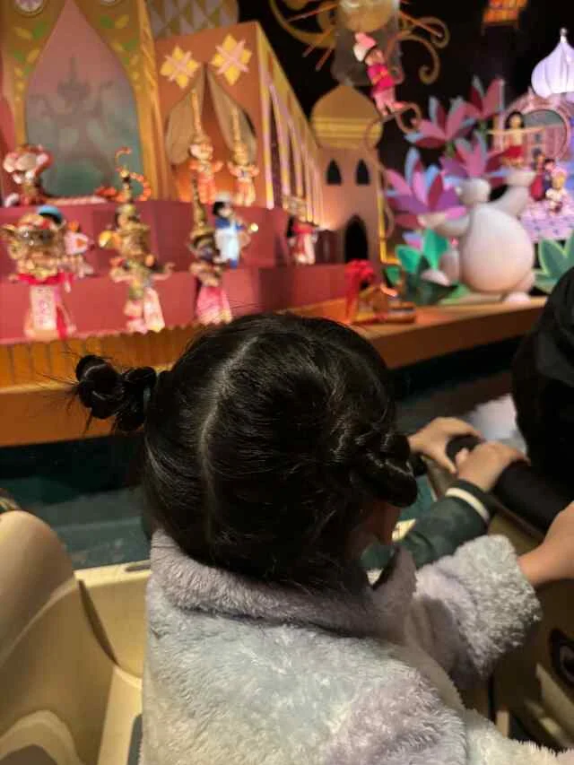 【ディズニーランド初心者＆久々さん向け】大混雑期のお正月子連れディズニー振り返り_1_12-1