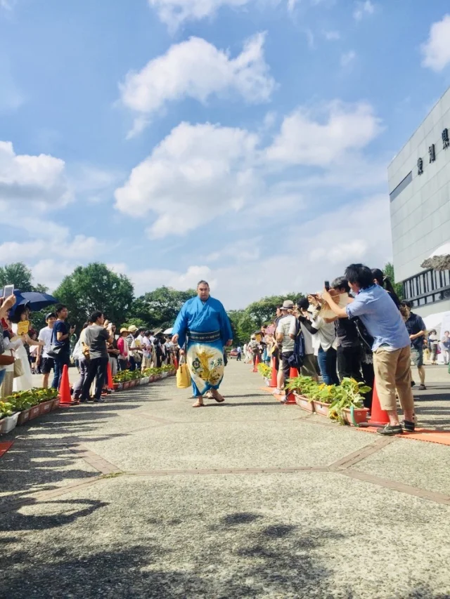 アラフォー的推しメンの見つけ方☆令和元年大相撲名古屋場所編_1_1