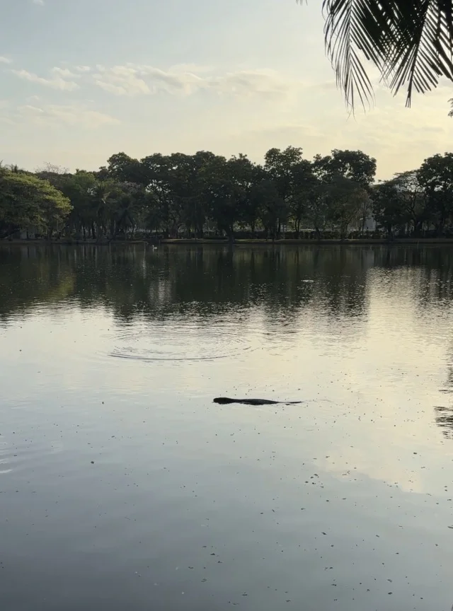 バンコク　ルンピニー公園
