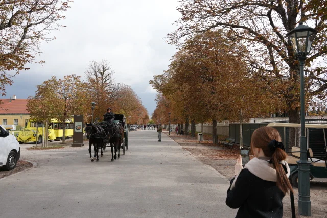 ウィーン旅行①｜美女と野獣の図書館＆世界遺産の街を歩く！旧市街観光スポット3選_1_13