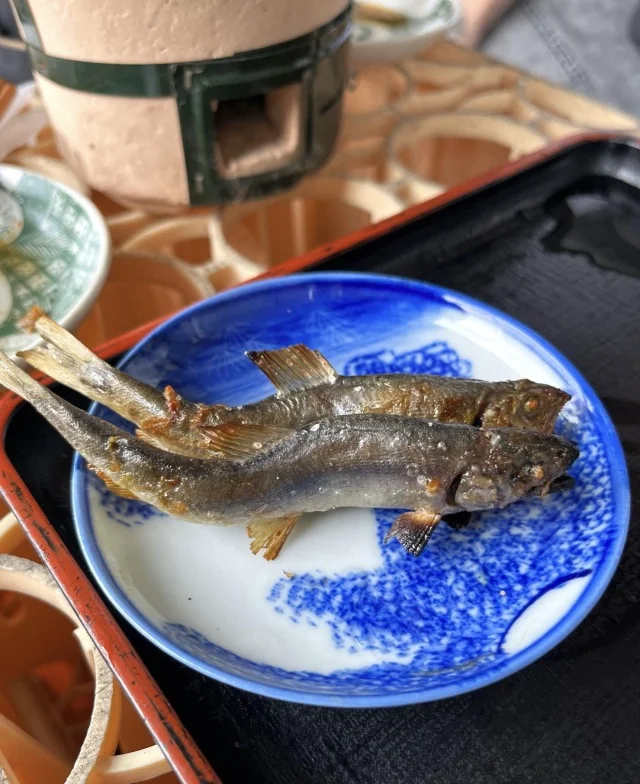 【ザコトラ商店】京都の名店赤垣屋が昼間だけ営業する話題のお店_1_6
