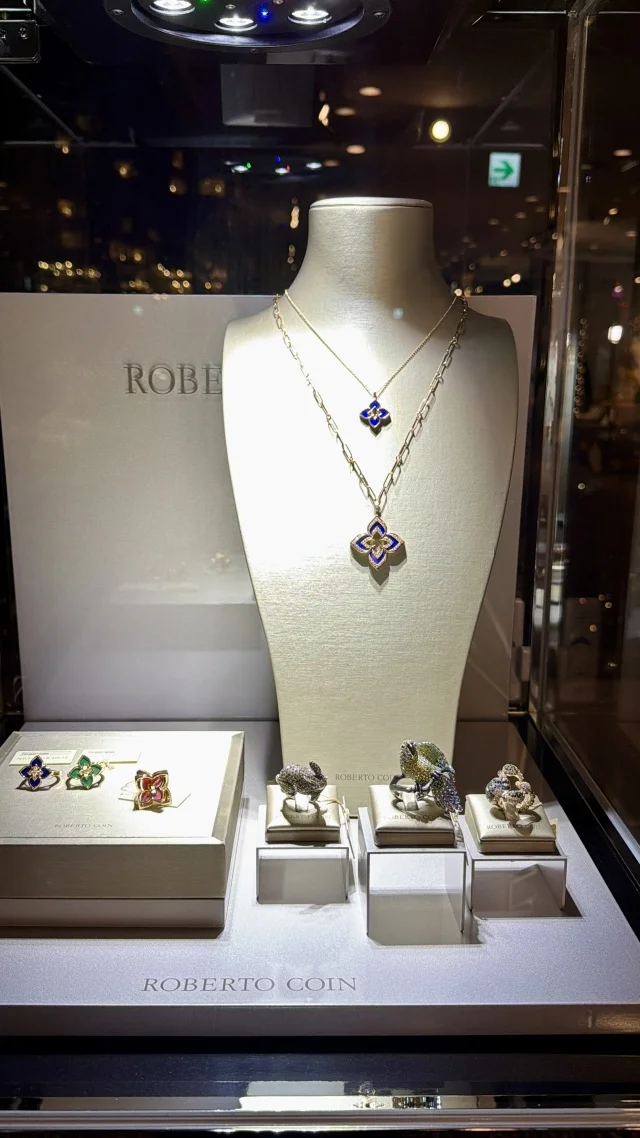 【在日イタリア商工会議所】40代､ドタバタのドレス選びからのガラパーティ初参戦記！_1_6-2