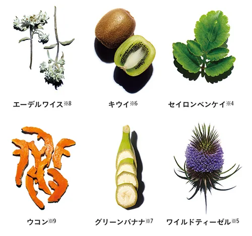 ダブル セーラム EXに配合された植物の代表例