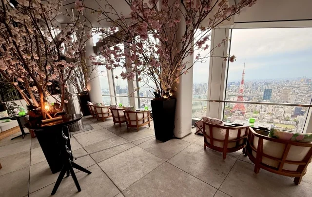 アンダーズ 東京で夜桜を満喫！東京タワーを臨む春限定ルーフトップ バー体験レポ_1_2-1