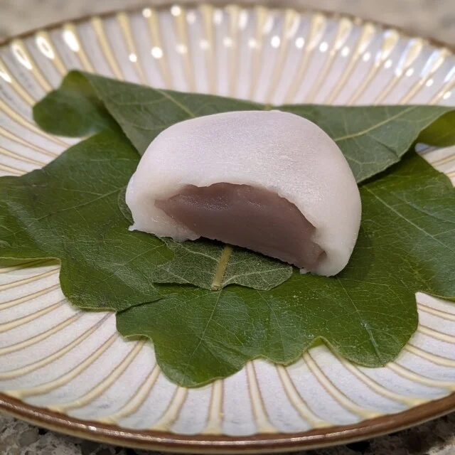 【あん活のススメ⑦】季節の和菓子を食べよう!〜柏餅編〜_1_4