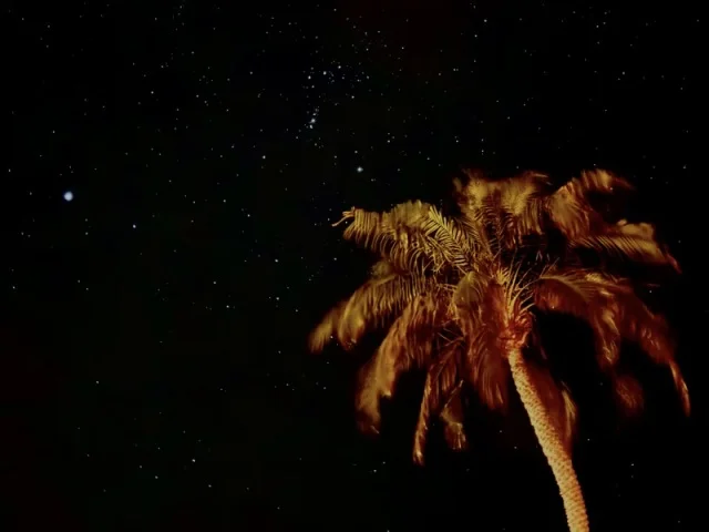   都心から70分。BOTANICAL POOL CLUBで叶える 五感が喜ぶ冬のウェルネス旅_1_35-3