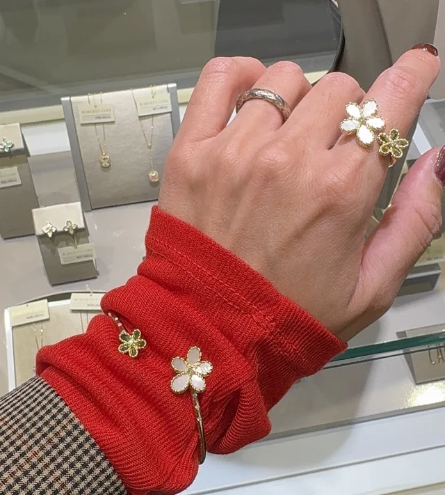 ロベルトコイン