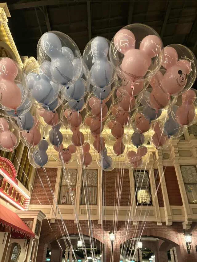 【ディズニーランド初心者＆久々さん向け】大混雑期のお正月子連れディズニー振り返り_1_16-2