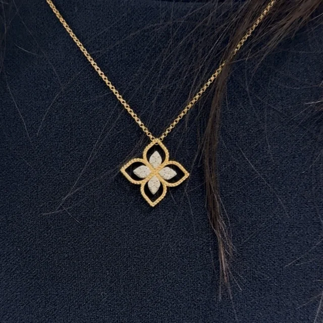 ロベルトコイン