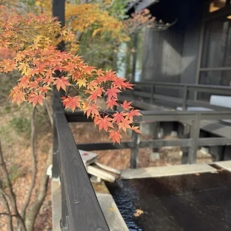 大人の冬旅まとめ。美女組が行ってよかった温泉・美食・海外_1_8-2