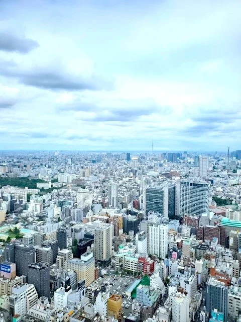 レストランベルスターの窓から望む新宿の街並みと空