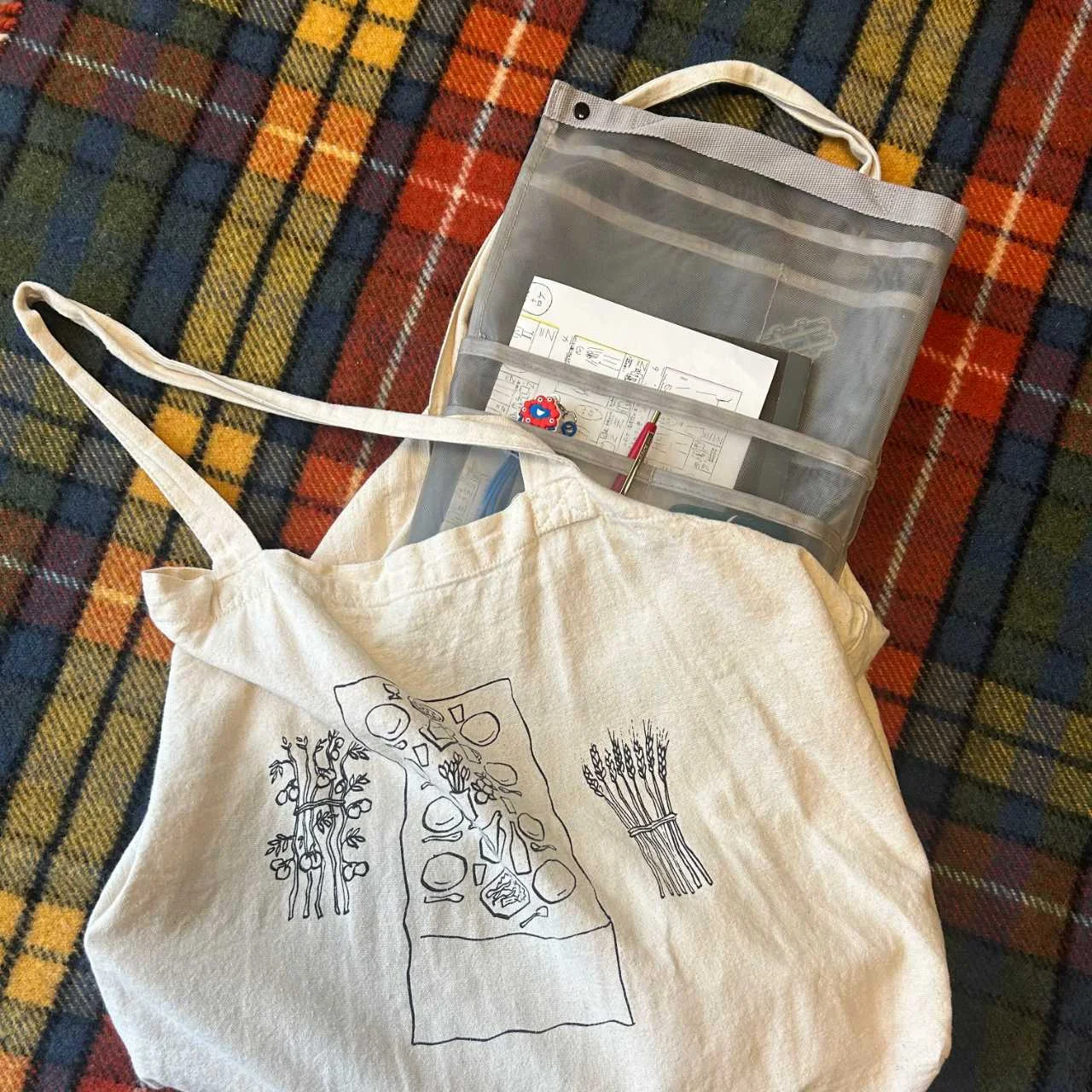 エコバッグに入れたバッグインバッグ