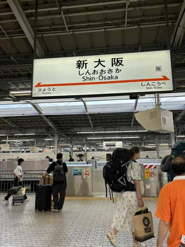 2025年最高だった“食＆旅”BEST３！ラン活帰省に話題の焼肉など...♡_1_11-2