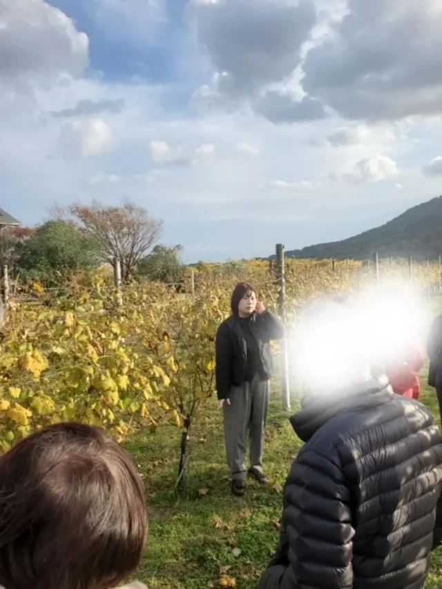 大人の冬旅まとめ。美女組が行ってよかった温泉・美食・海外_1_16