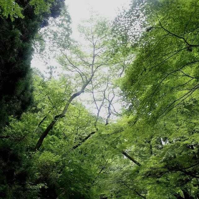 愛犬と小旅行　初めての佐原へ　_1_4-2