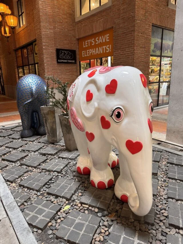 チェンマイ　ワンニマン