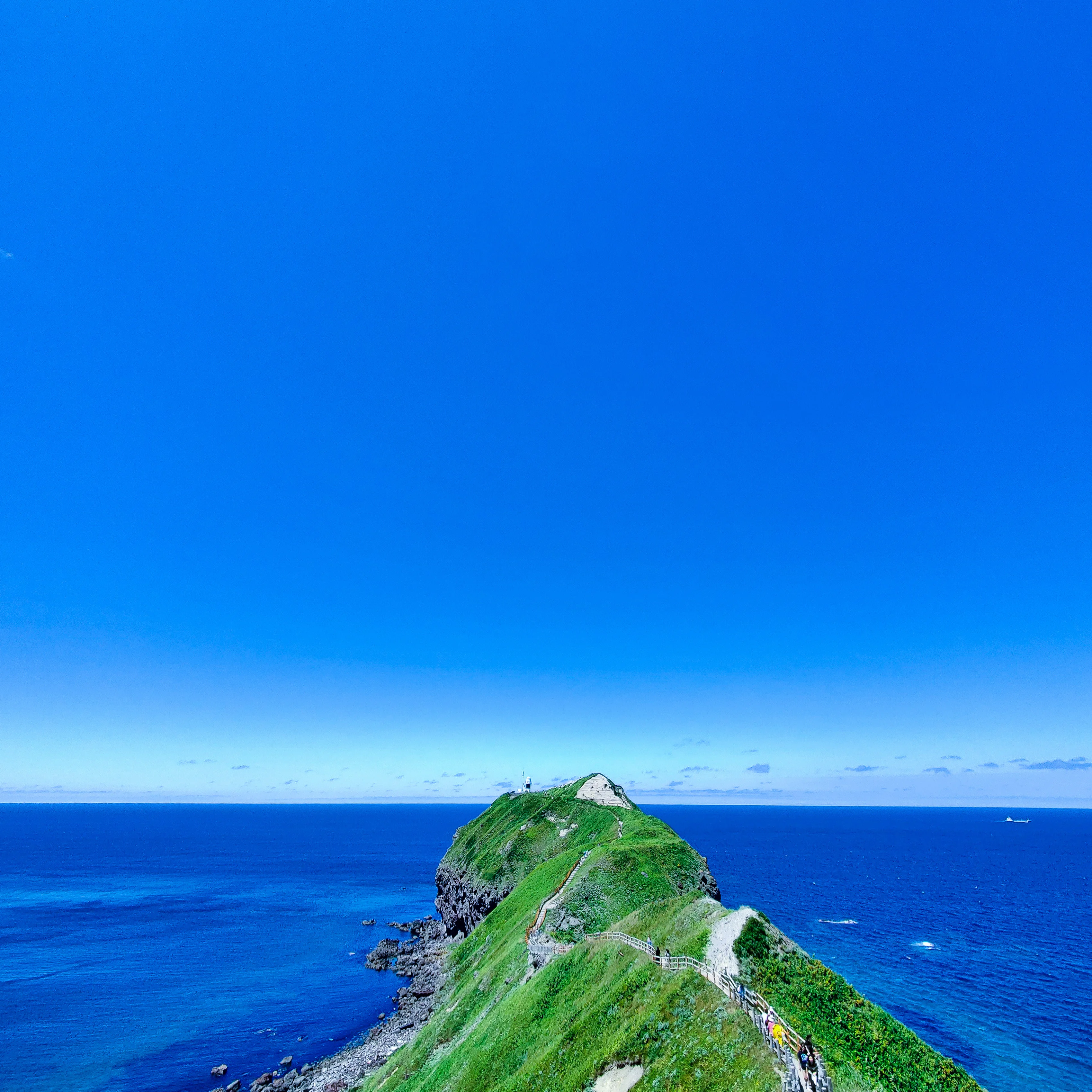 【夏の北海道旅行】この時期のグルメおすすめは積丹の雲丹！