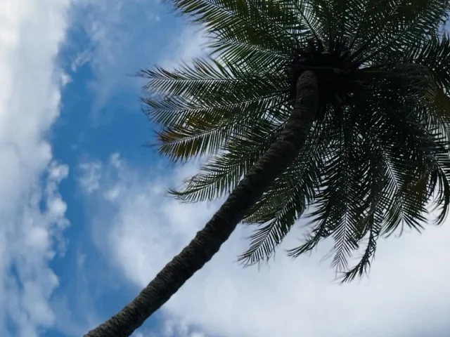   都心から70分。BOTANICAL POOL CLUBで叶える 五感が喜ぶ冬のウェルネス旅_1_3-1