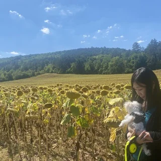 行ってきた！何かと話題だったフランス・セーヌ川の源流はキレイ_1_2