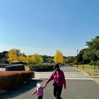 もうすぐ見頃！立川【昭和記念公園】のイチョウ並木_1_1