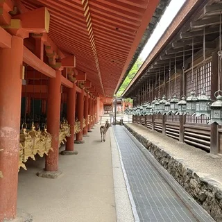 家族で奈良旅。\ 1日目 /