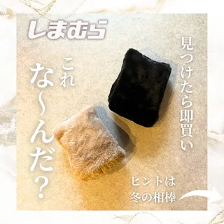 【プチプラ】コンパクトで優秀なモコモコの相棒マフラー（しまむら）