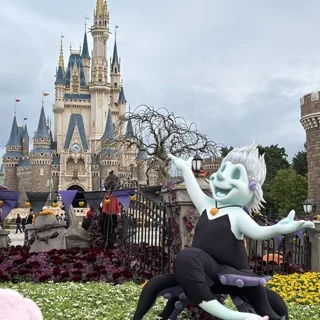 やっぱりディズニーランドは“夢の国”