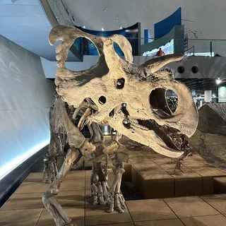 恐竜の聖地『福井県立恐竜博物館』へ