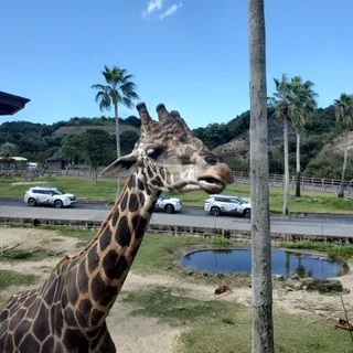 南紀白浜　アドベンチャーワールド