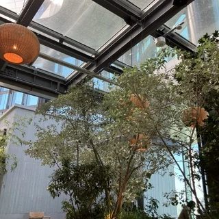 都会の中の“森レストラン”で春を味わう♡_1_3-1