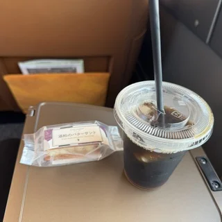 今話題の特急【スペーシアX】で行く秋の日光ソロ旅②_1_7-2