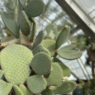 朝ごはんから帰り道まで、函館の続き_1_3-1