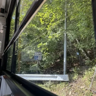 【日光旅行】秋を感じる日帰りソロ旅へ_1_12-2