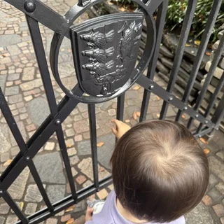 【子連れで楽しむ】三鷹の森ジブリ美術館_1_4