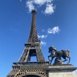 パリは今、凄いことになってます_1_1