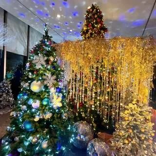 【グランド ハイアット 東京】2025年クリスマスのテーマは「Starlight of Love」