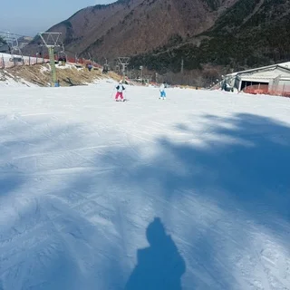 【子連れ山梨】6歳＆9歳と行く！科学館・歴史・スキー満喫モデルコース