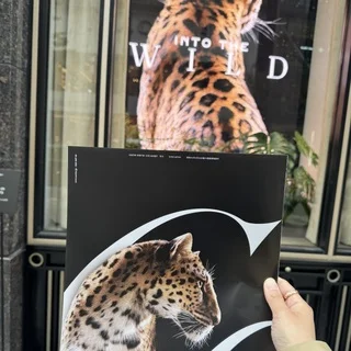 カルティエのPOP-UPイベント