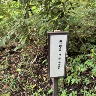 【日光旅行】秋を感じる日帰りソロ旅へ_1_14-3
