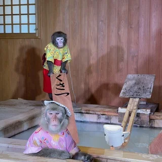 可愛いお猿さんの湯もみショー！！