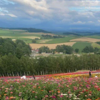 夏休みの北海道旅行　前半編