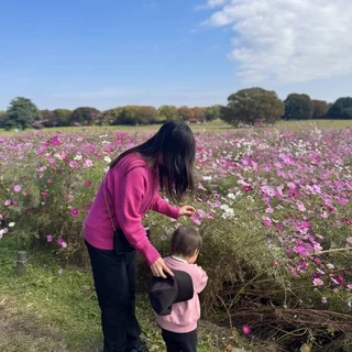 もうすぐ見頃！立川【昭和記念公園】のイチョウ並木_1_5