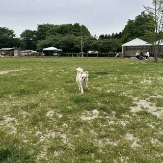 THE SECONDで癒しの休日。愛犬と過ごす、那須のプライベートヴィラ_1_3