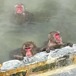朝ごはんから帰り道まで、函館の続き_1_2-1