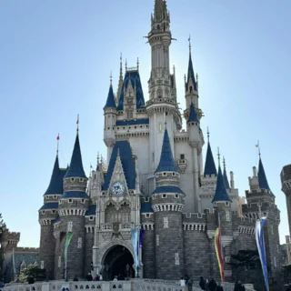 【ディズニーランド初心者＆久々さん向け】大混雑期のお正月子連れディズニー振り返り