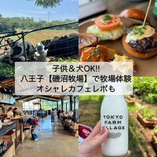 子供&amp;犬OK【八王子】磯沼牧場おしゃれカフェレポ