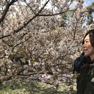京都 仁和寺。低気温な日のお花見はパーカーが大活躍！