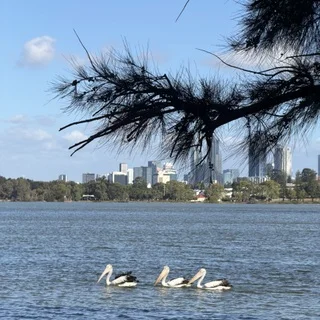 オーストラリアの小学校事情_1_2