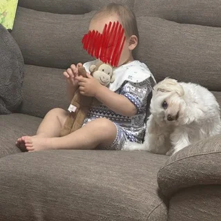 とうふ3歳に。フランス生まれの愛犬と欧州旅の記憶_1_19
