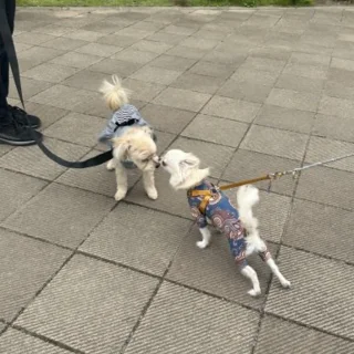THE SECONDで癒しの休日。愛犬と過ごす、那須のプライベートヴィラ_1_2